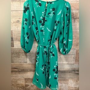 Ann Taylor Chiffon Sleeve Dress 0P